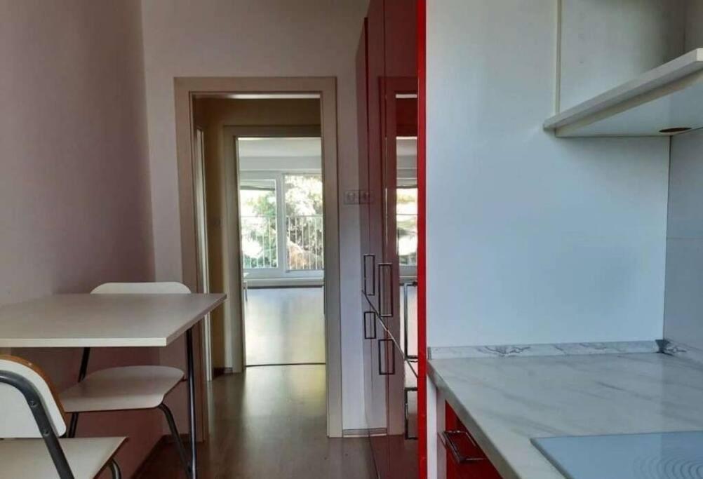 Modern And Light 2-room Apartment